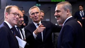 Nytt Nato-toppmöte – samma svar om svenska medlemskapet