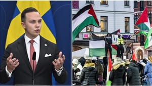 Slutreplik: Fortfarande frågetecken om SVT:s rapportering om propalestinska demonstrationer