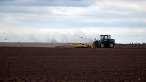 Expert: ”Ukraina i EU hotar inte jordbrukspolitiken”