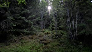 Slutreplik: Myndigheterna bortser från ett sekel av skogsforskning