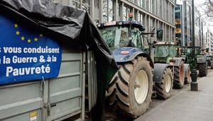 Efter bondeupproren: EU-varor föreslås få skydd mot ukrainsk konkurrens 