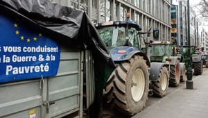 Veckan i EU: Traktorer till Bryssel, EU-ledare till Paris och Navalnyjs änka till Strasbourg