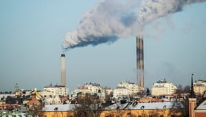 Naturskyddsföreningen: Sverige måste minska sin energianvändning, Ebba Busch 