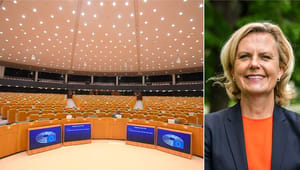 Ett hoppigare och mer oförutsägbart Europaparlament väntar