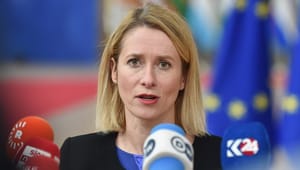 Estlands premiärminister: ”Angripare provoceras av svaghet”