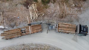 Replik: Det krävs nyanser i debatten om skogsavverkning