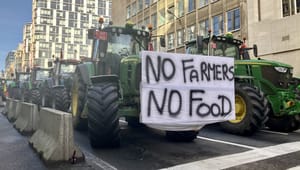 Efter protesterna: Så har EU gått bönderna till mötes