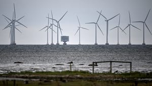 Svenskt fiske hotas av utbyggnaden av havsbaserad vindkraft