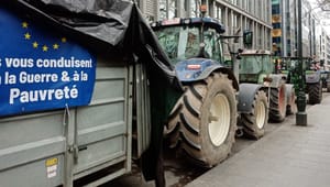 Forskare om jordbruksprotesterna: ”De lyckas ändra lagstiftning som ingen annan” 