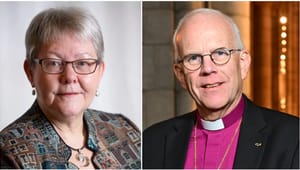 Svenska kyrkan: Det brådskar att rädda kyrkornas kulturarv, regeringen