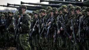 Försvarsberedningens ordförande: Behövs politisk enighet kring värnpliktiga i Nato