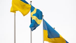 Lärdomar från Ukrainas civilsamhälle kan stärka Sveriges beredskap