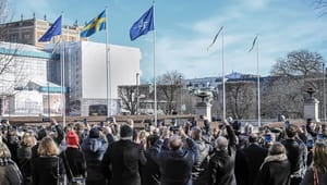 Professor: Sveriges Natoprocess baserades varken på fakta eller kunskap