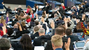 Svenska EU-kandidater prioriterar miljö före ekonomi