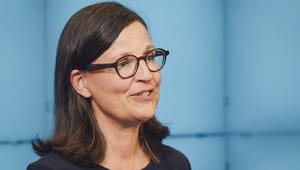 Ekström: Lättare för rektorer att välja partier