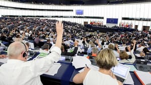 Parlamentet vill att EU gör mer för kvinnors självbestämmande