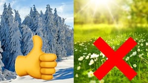 Svenska EU-parlamentariker vill slopa sommartiden
