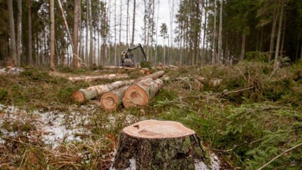 ”EU-kommissionen underkänner svensk skogsklimatlinje”