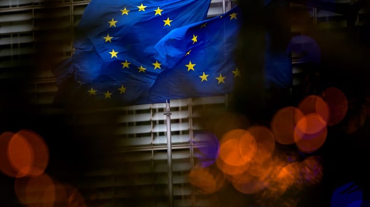 S-parlamentariker: Skitföretagandet på EU:s inre marknad har gått för långt