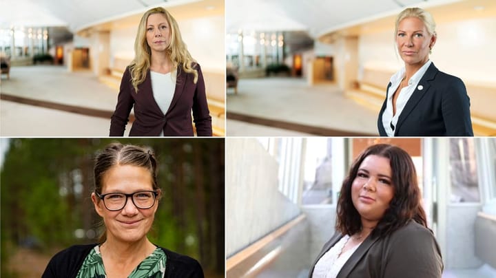 SD-Kvinnor: Socialdemokraterna har gjort det sämre för kvinnor i Sverige