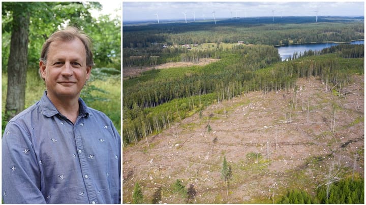 Greenpeace: Dra åt skogen – om den finns kvar?