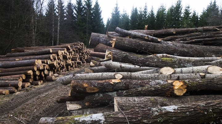 Replik: Ekonomiska styrmedel krävs för att skogsbranschen ska kunna nå EU:s klimatmål