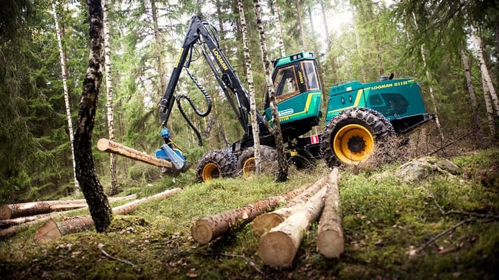 Myndighet behöver förstärkning för att klara ny skogslag från EU