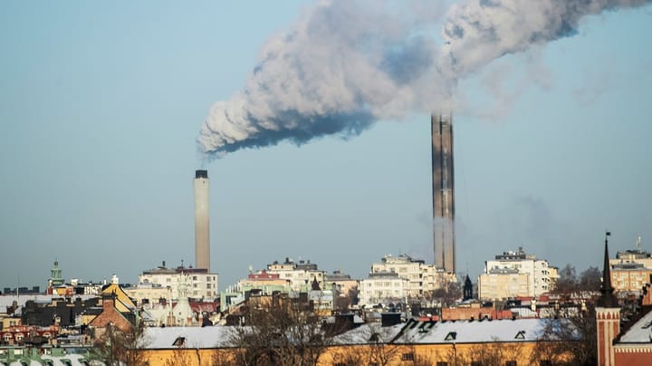 Naturskyddsföreningen: Sverige måste minska sin energianvändning, Ebba Busch 