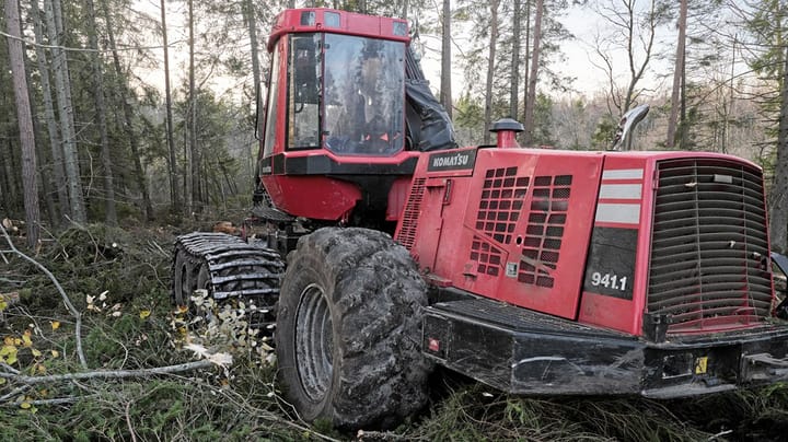 LRF: Skogens artskydd kommer att kosta Sverige 10 miljarder kronor per år