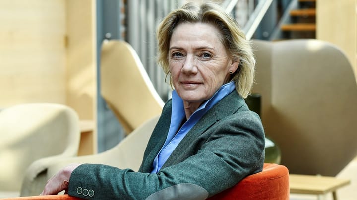 Ulla Hamilton lämnar Friskolornas riksförbund: ”Inte en lugn stund”
